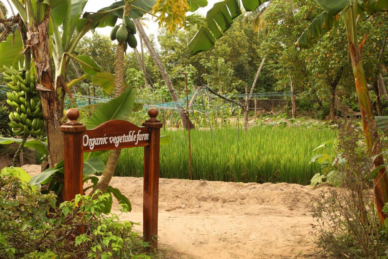 Abad Turtle Beach Mararikulam Exterior photo