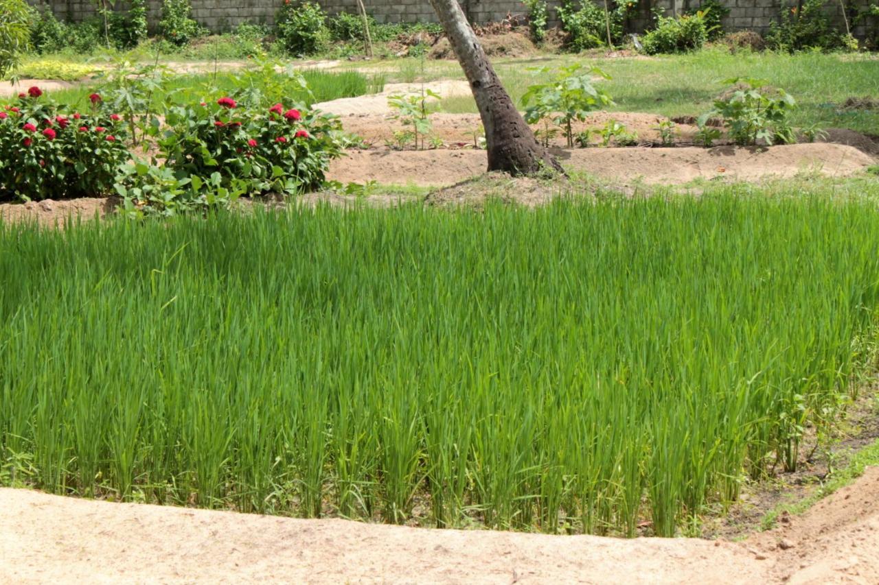 Abad Turtle Beach Mararikulam Exterior photo